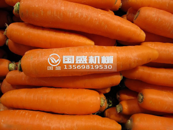 红豆视频大全免费观看胡萝卜脱水挤压机